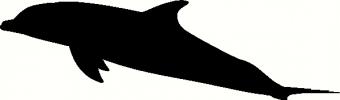 Dolphin vinyl decal
